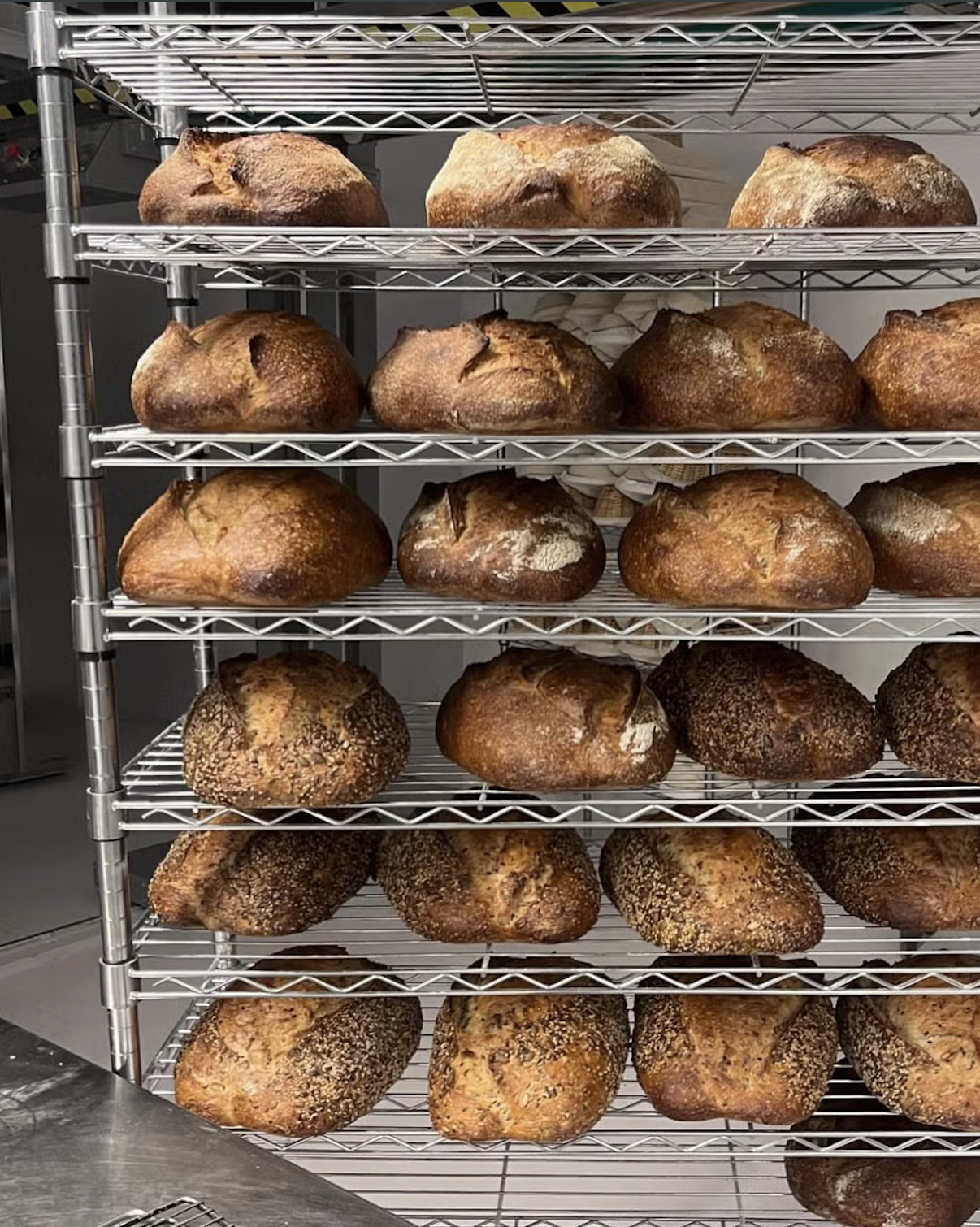 Alma Bakery